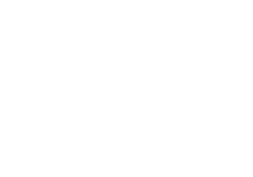 לוגו מערכת סמויה תיבת נוח - צבע לבן